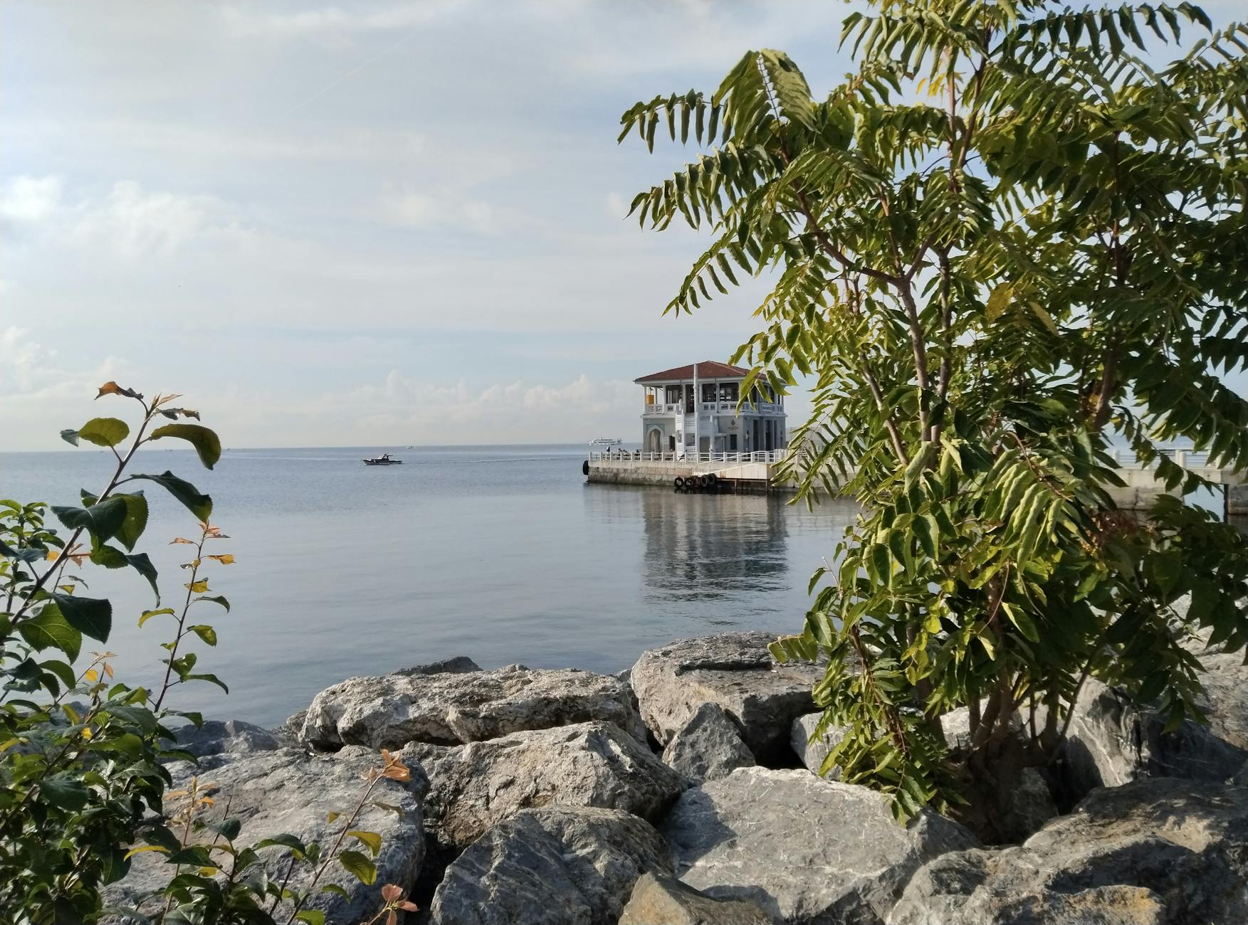 Sztuka fotografii: Jak uchwycić piękno letnich chwil (Hobby)