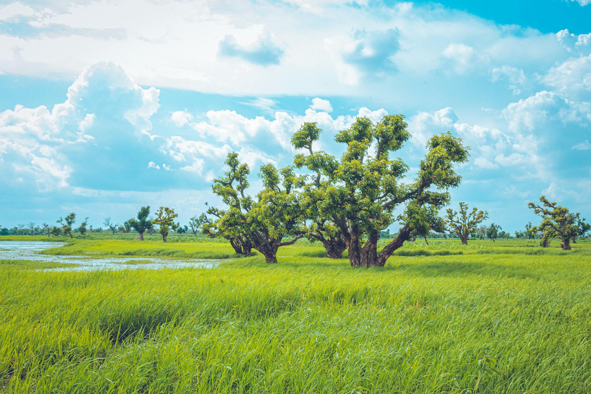 Edycja i obróbka zdjęć letnich