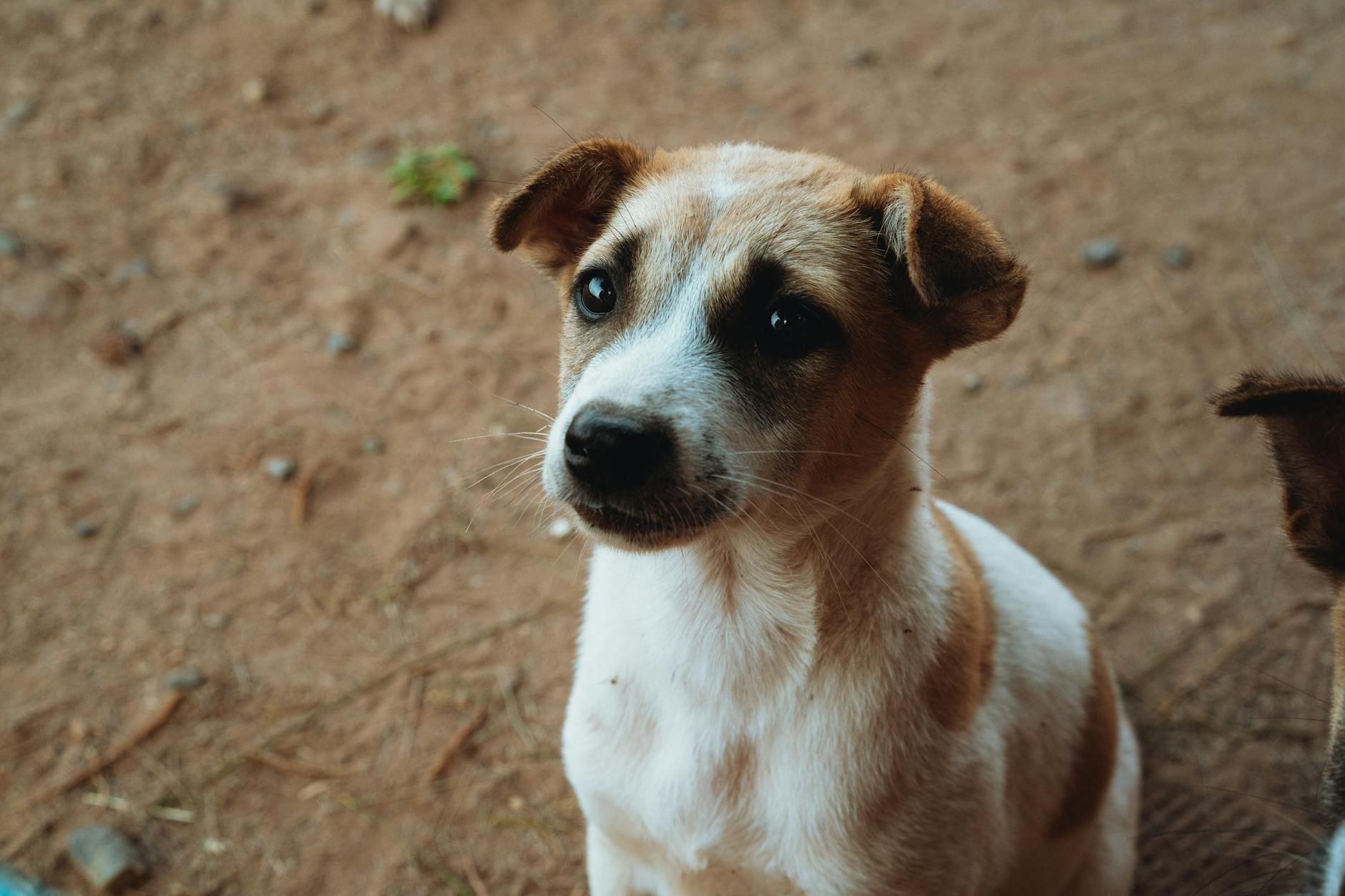 Alternatywne podróże: Odkrywanie nieznanych miejsc (Podróże i Turystyka)